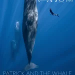 Patrick_and_the_Whale_Poster