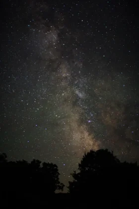 The Milky Way over the trees within Beaver Island Dark Sky Sanctuary. Photo by Cynthia Hector Johnson.