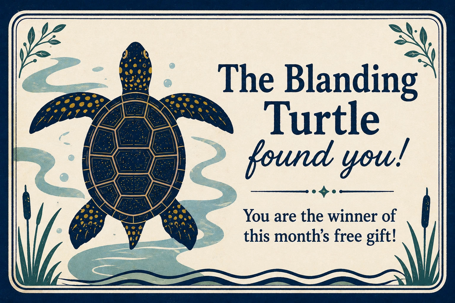 The Blanding Turtle found you - winner card