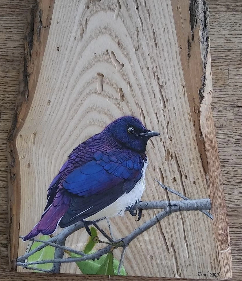 Eric Sullivan artwork painted on wood