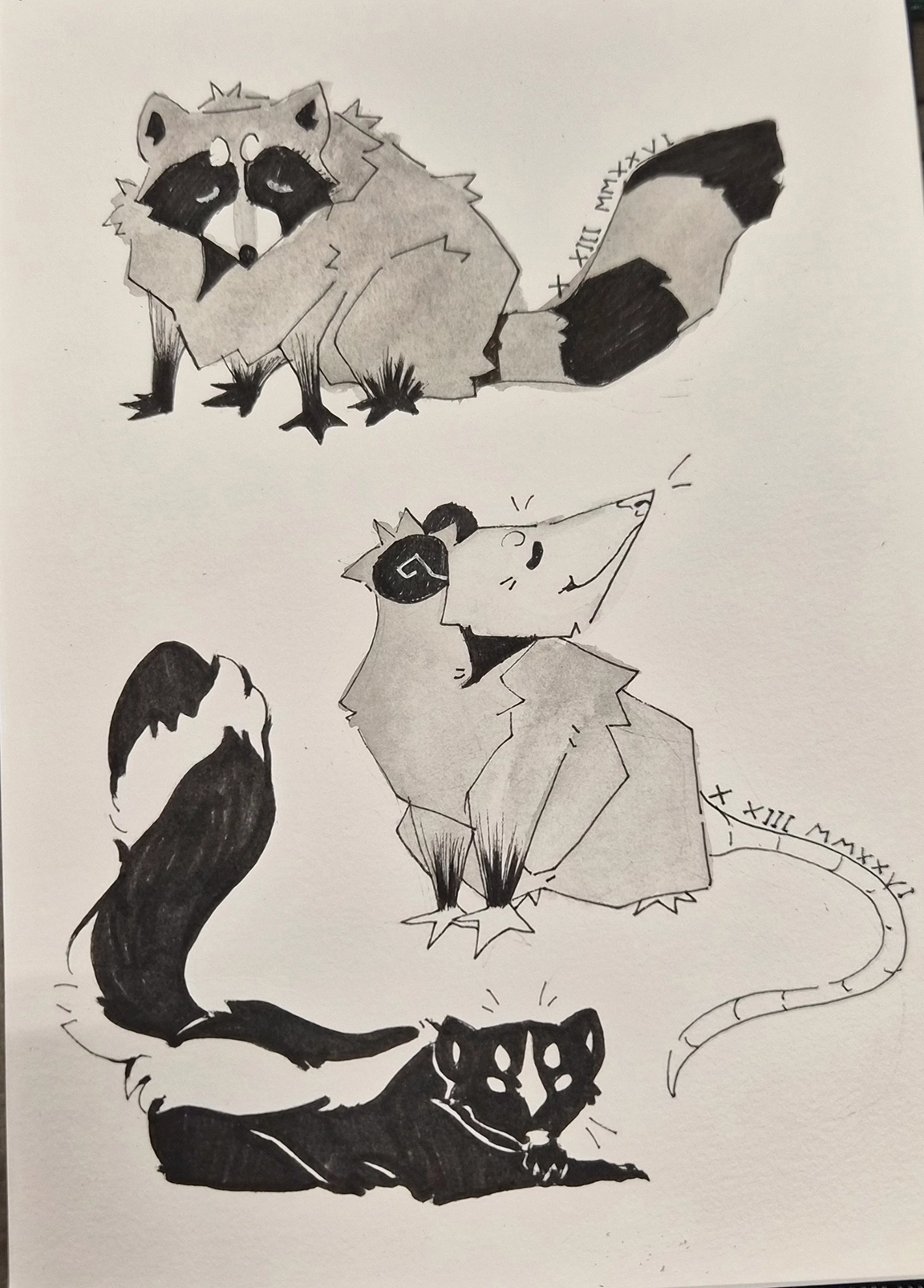 Raccoon and skunk illustration by Venus Will