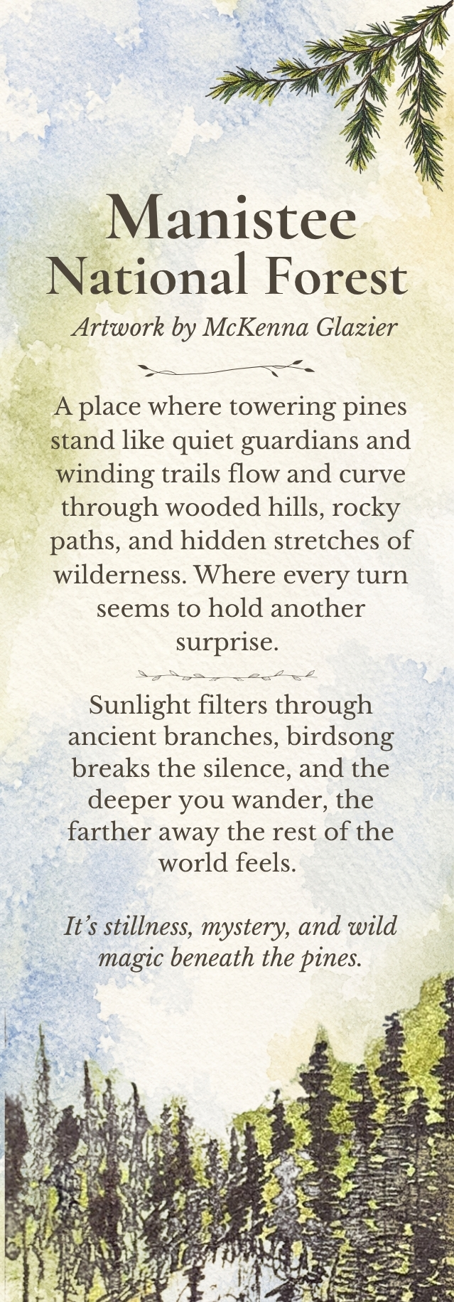 Manistee National Forest bookmark back