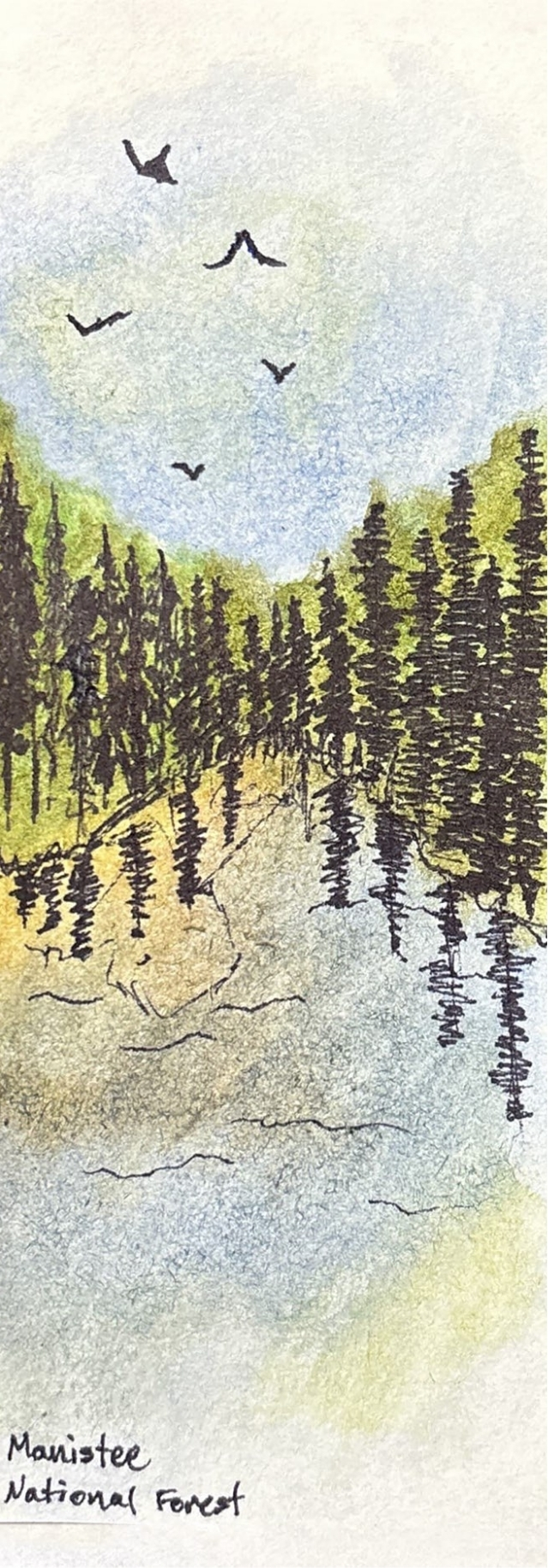 Manistee National Forest bookmark